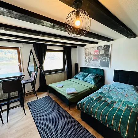 Loft Fluss Blick Apartment Koblenz (Rhineland-Palatinate)